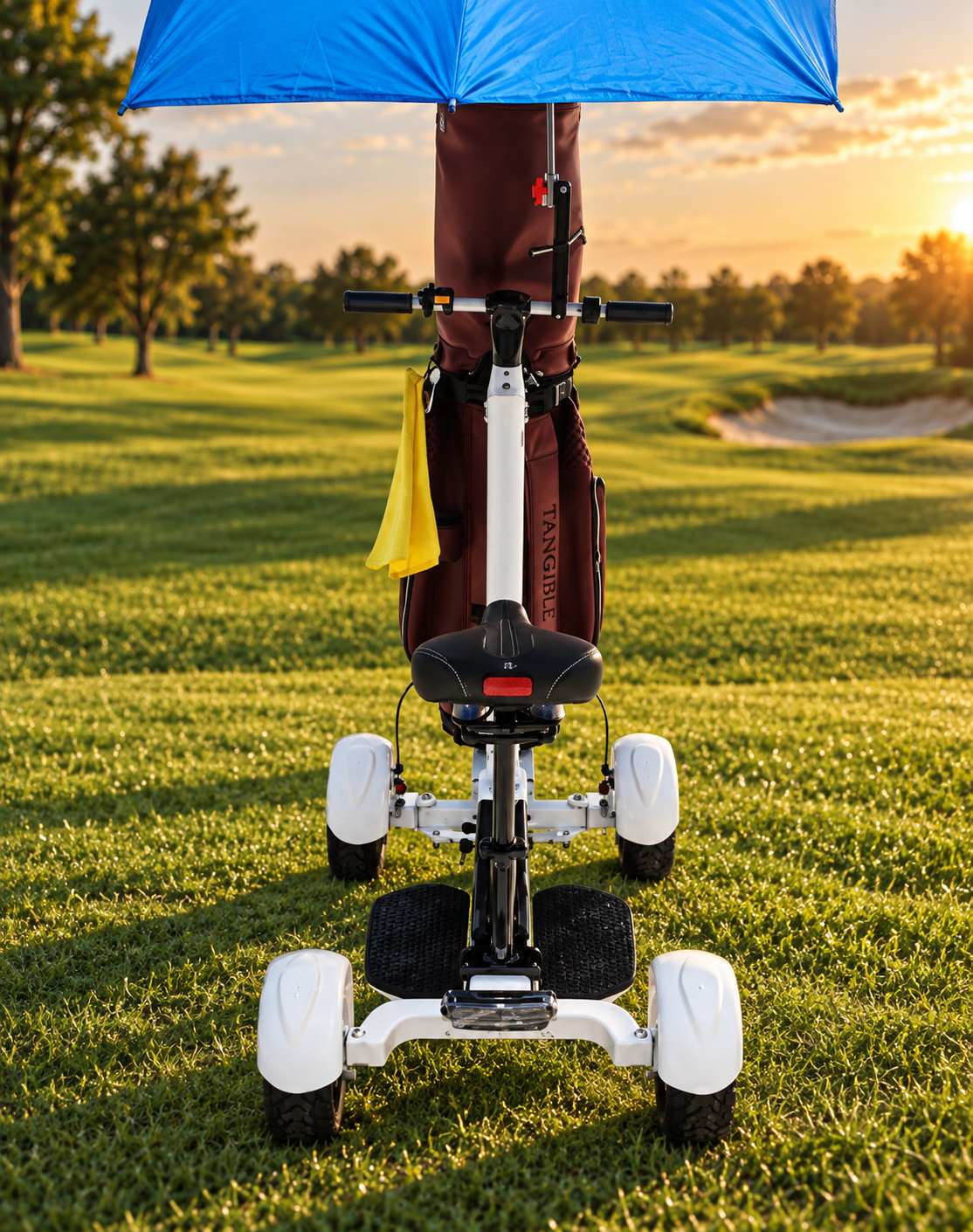 Carro Eléctrico scooter Golf